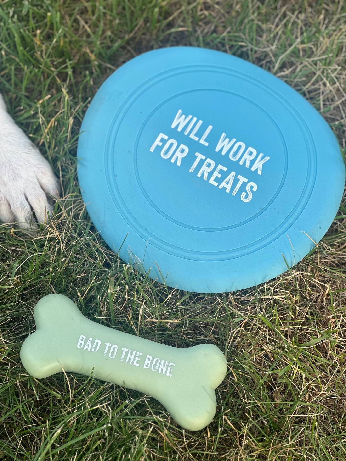 Dog Bone & Frisbee Combo