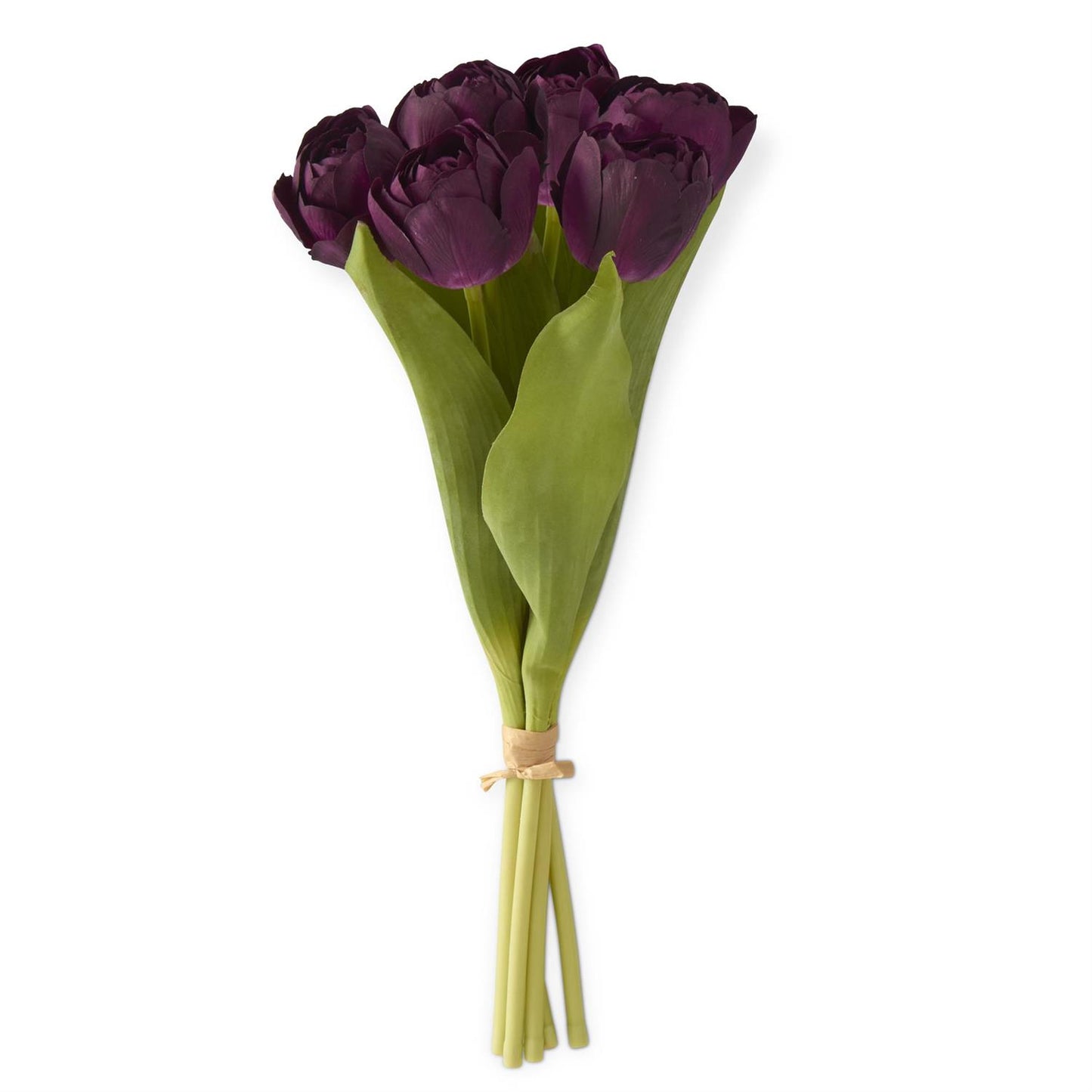 Dark Purple Tulip Bundle