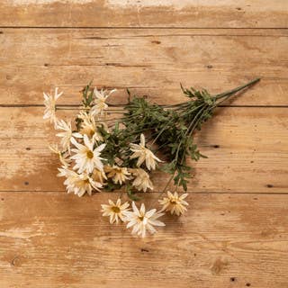 20" CREAM DAISY BUSH