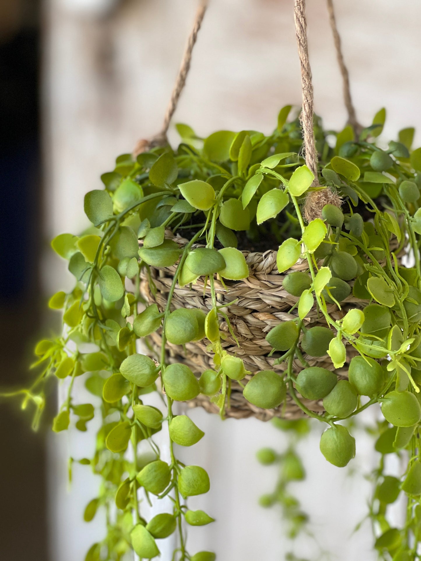 Brentwood Hanging Basket Round