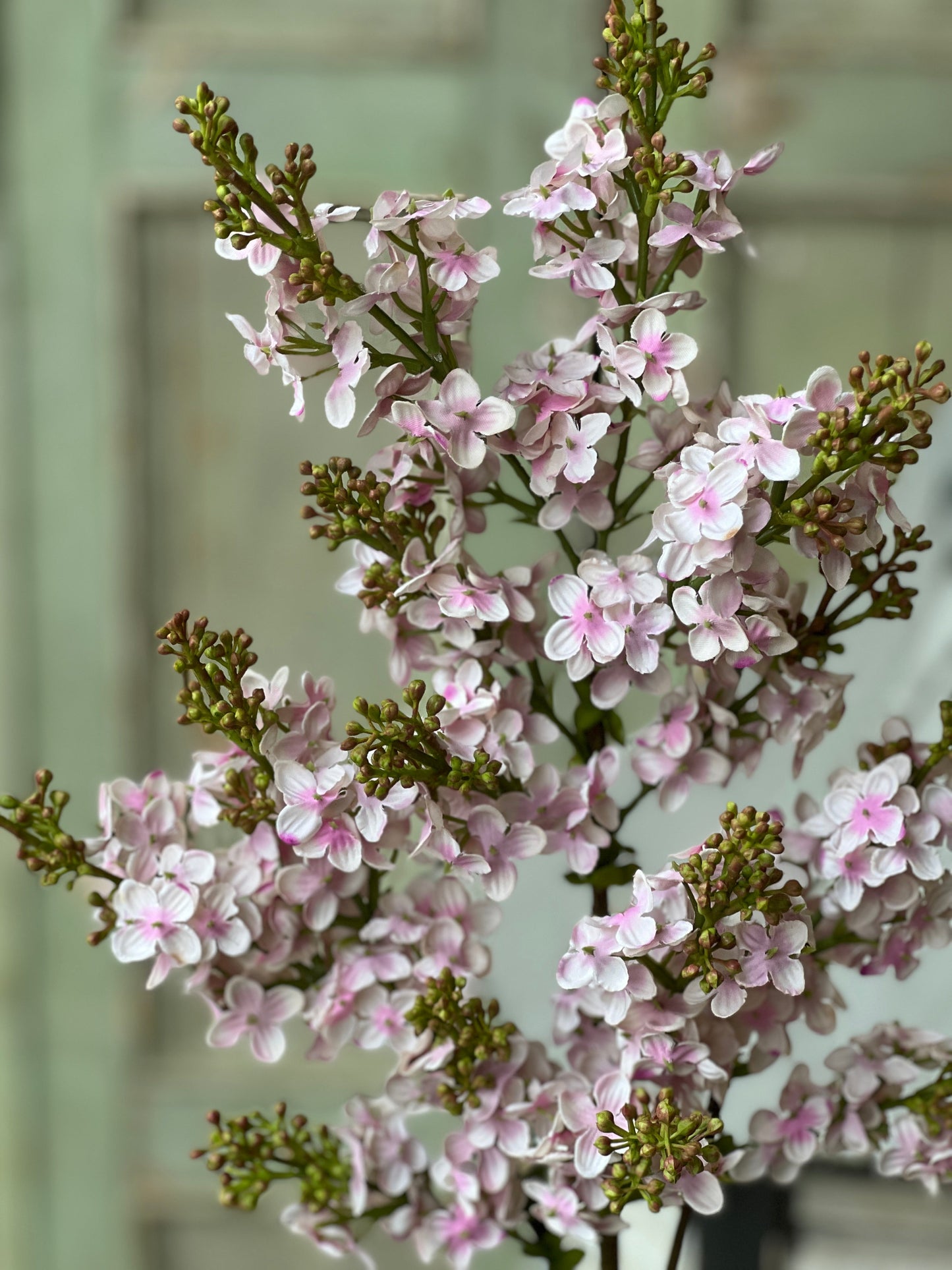 Chiffon Spires Lilac Stem