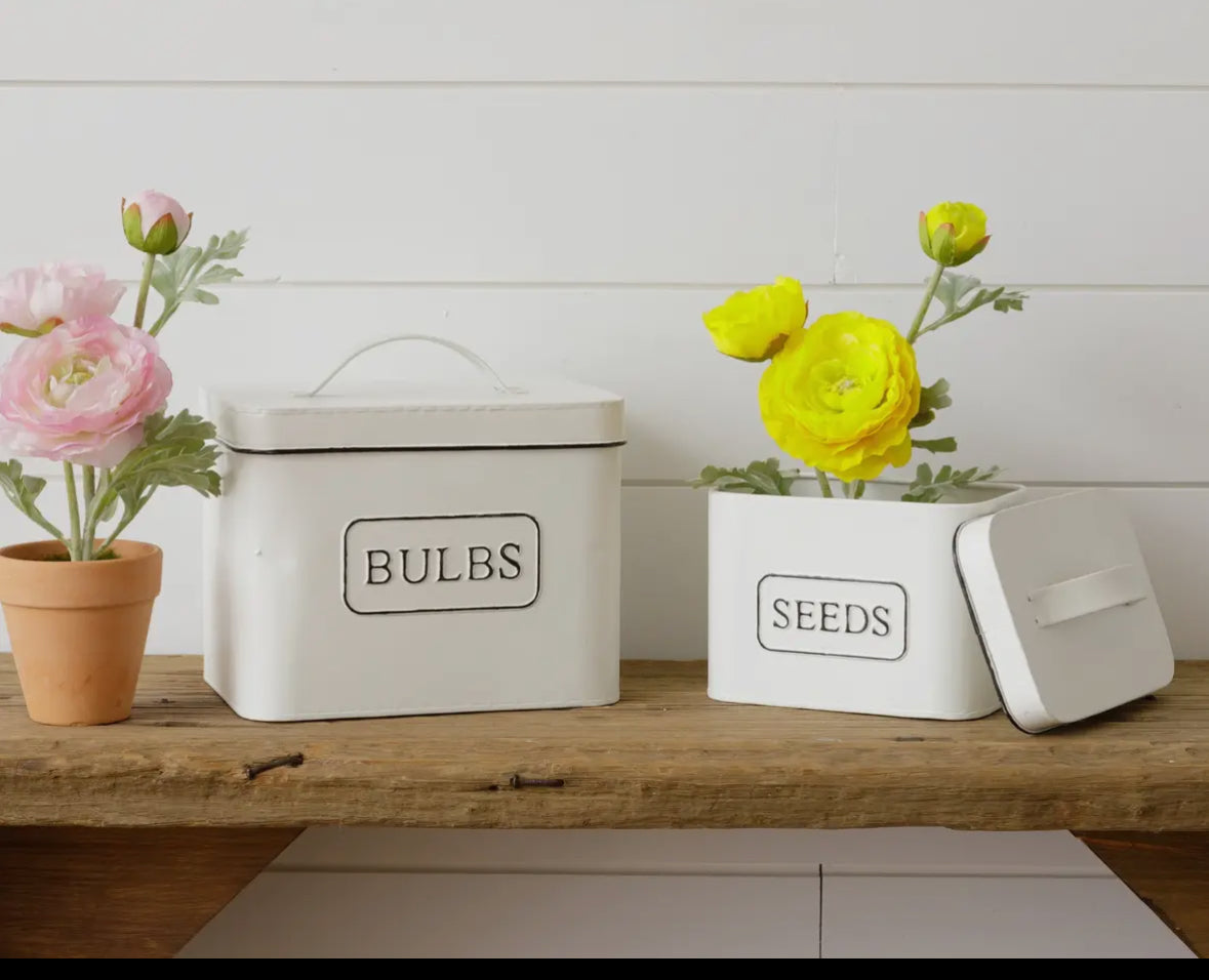 Set Bulb & Seed Tin Canisters