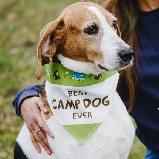 Camp Dog Canvas Slip on Pet Bandana