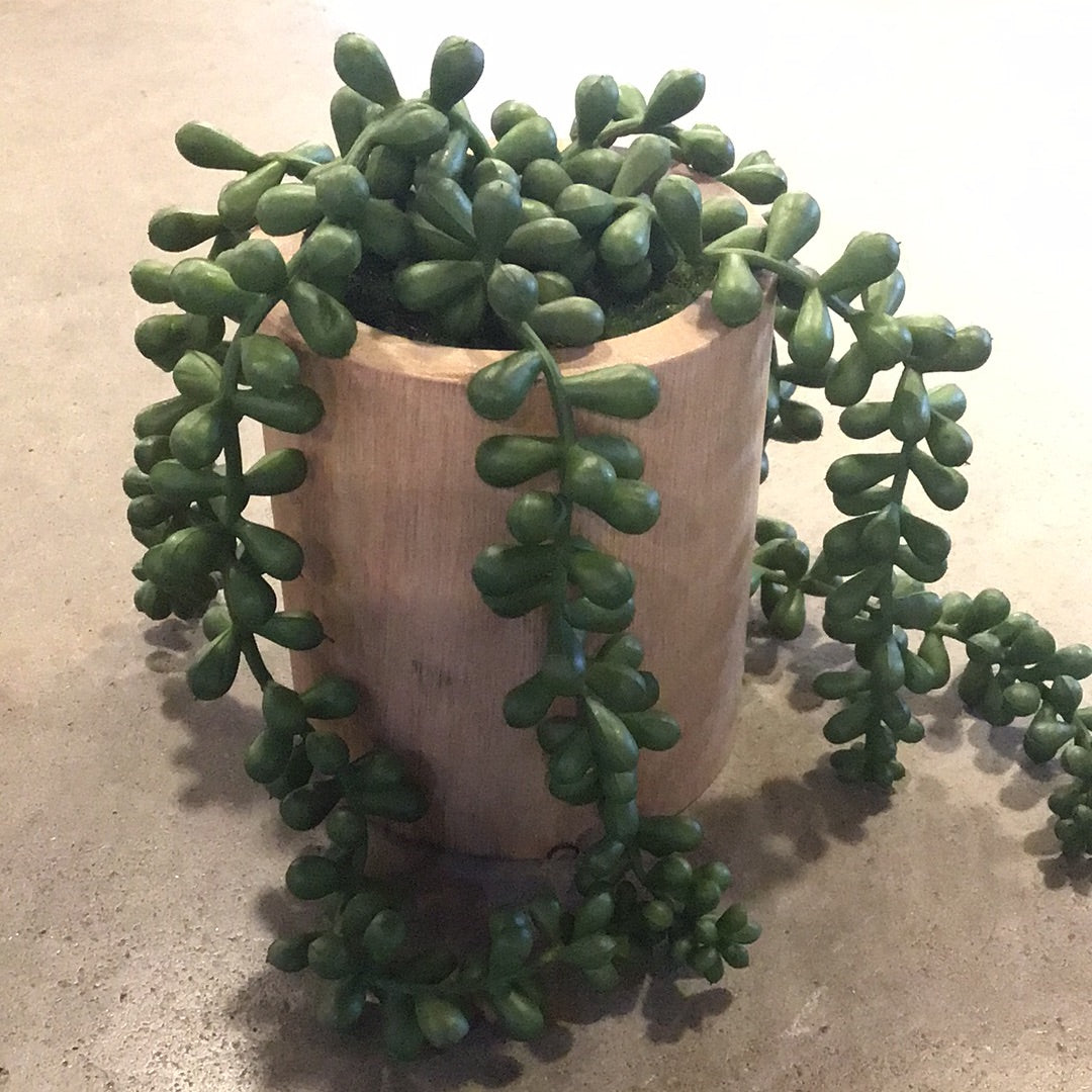 Faux String of Pearls