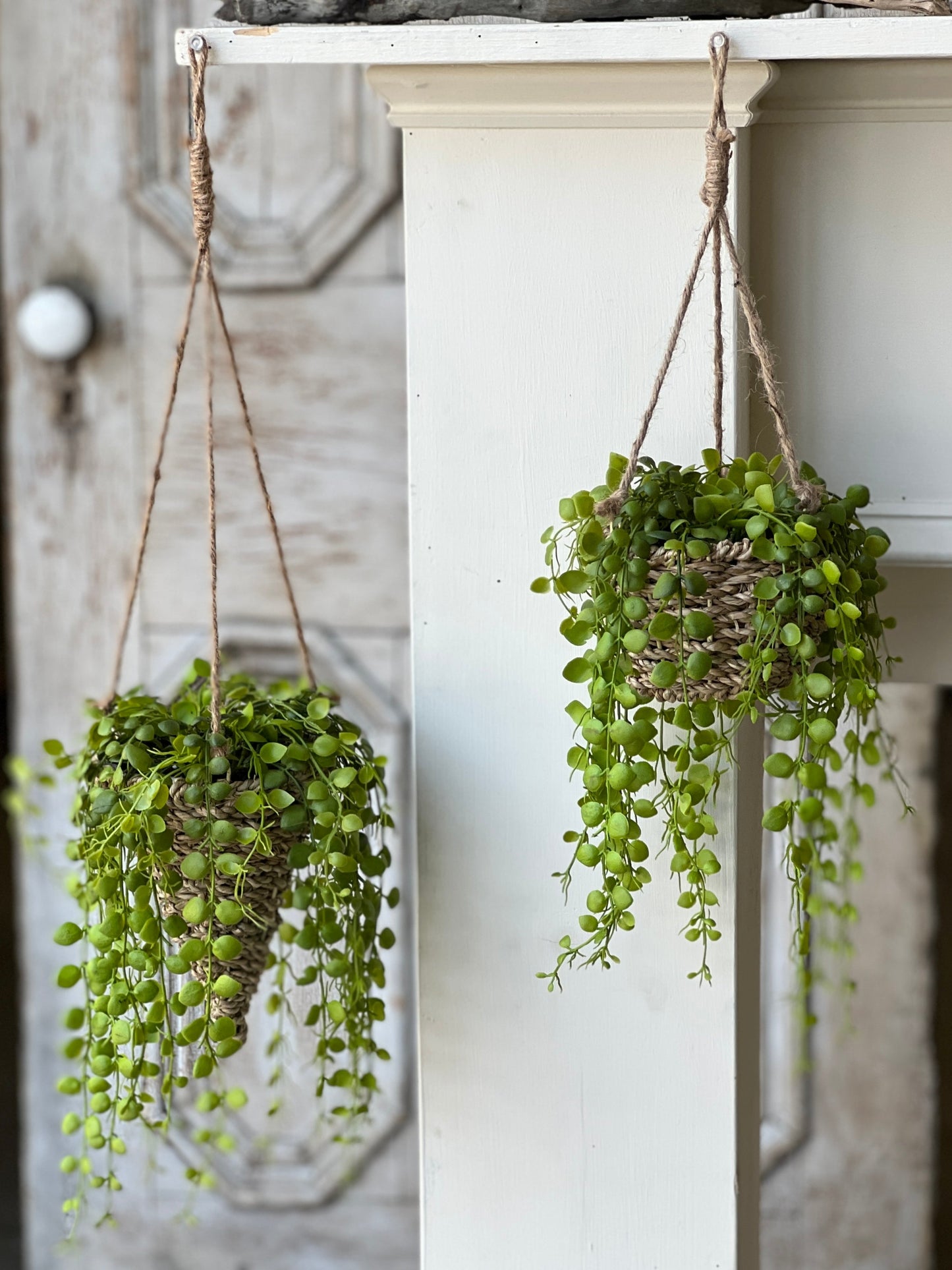 Brentwood Hanging Basket Round