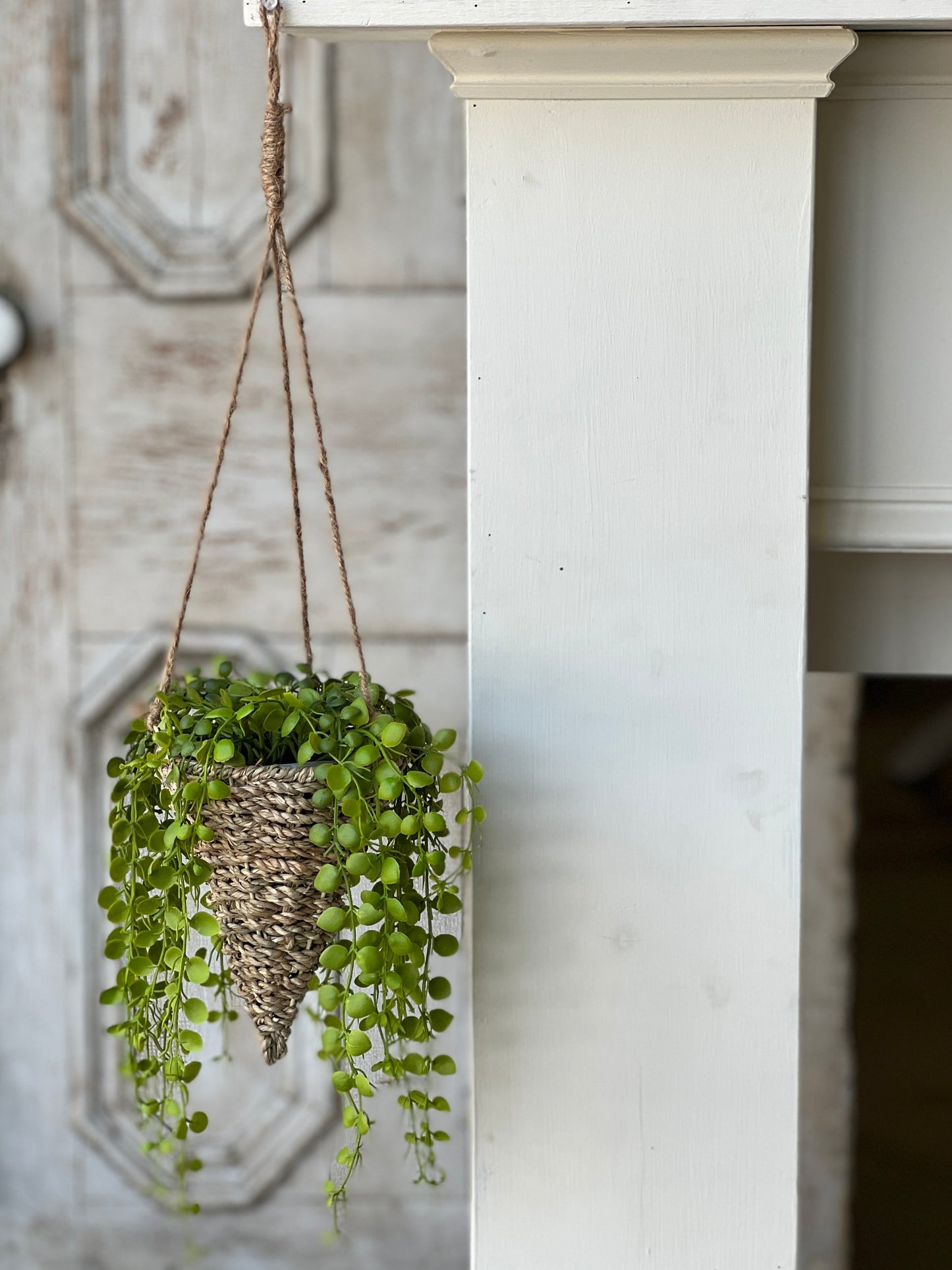 Brentwood Hanging Basket Cone