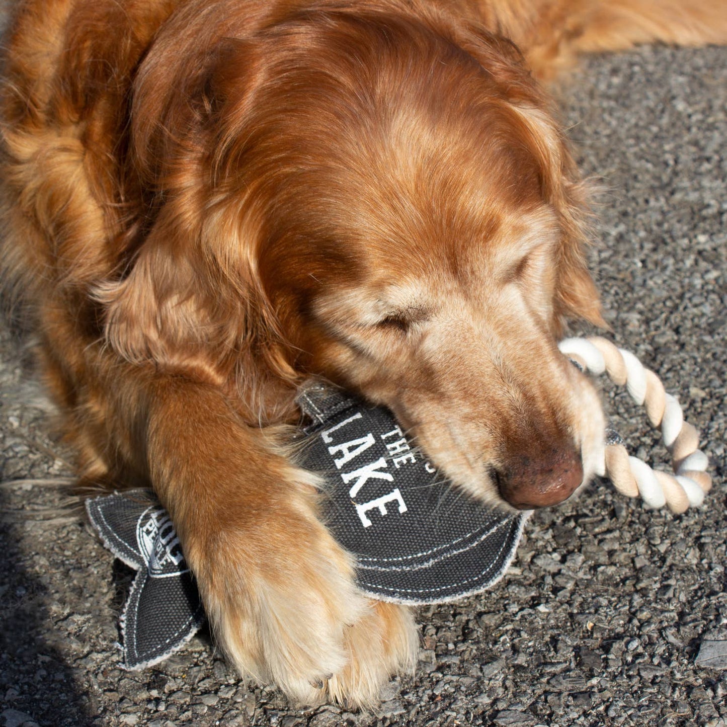 Lake Dog - 12" Canvas Dog Toy on Rope