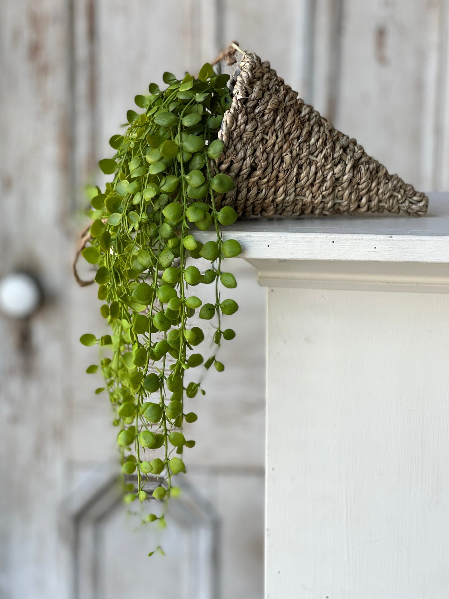 Brentwood Hanging Basket Cone