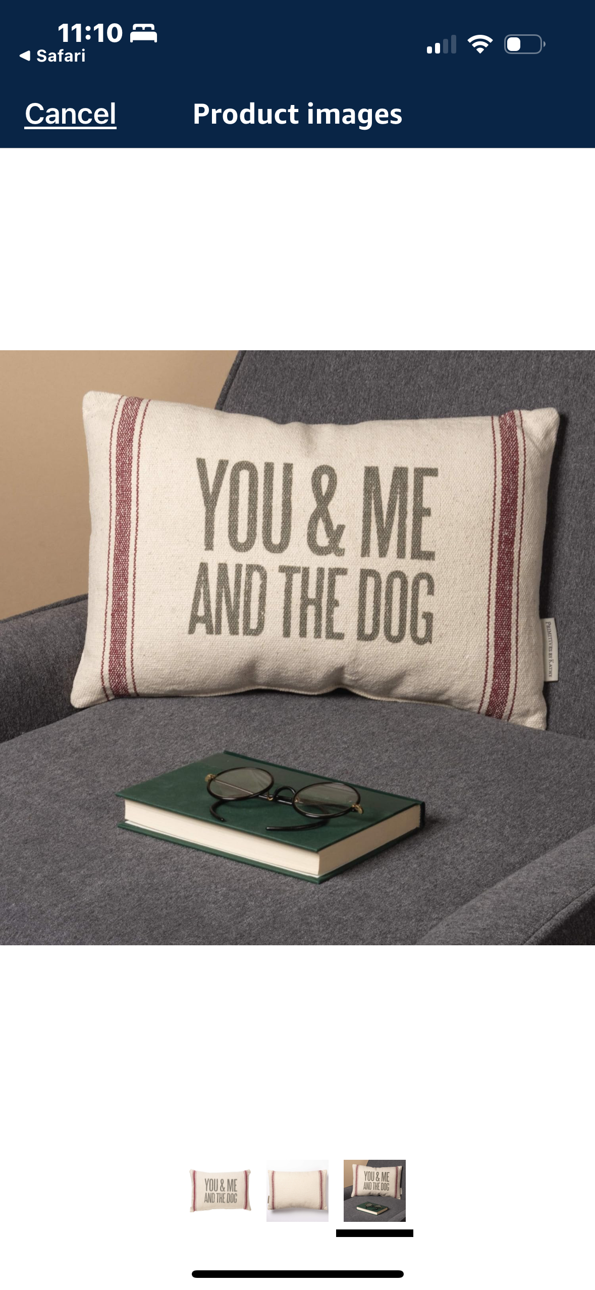 You Me And The Dogs Pillow