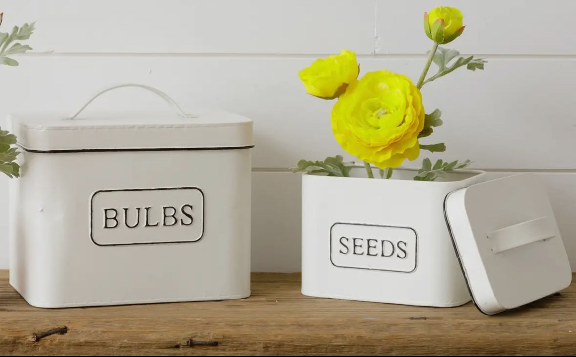 Set Bulb & Seed Tin Canisters
