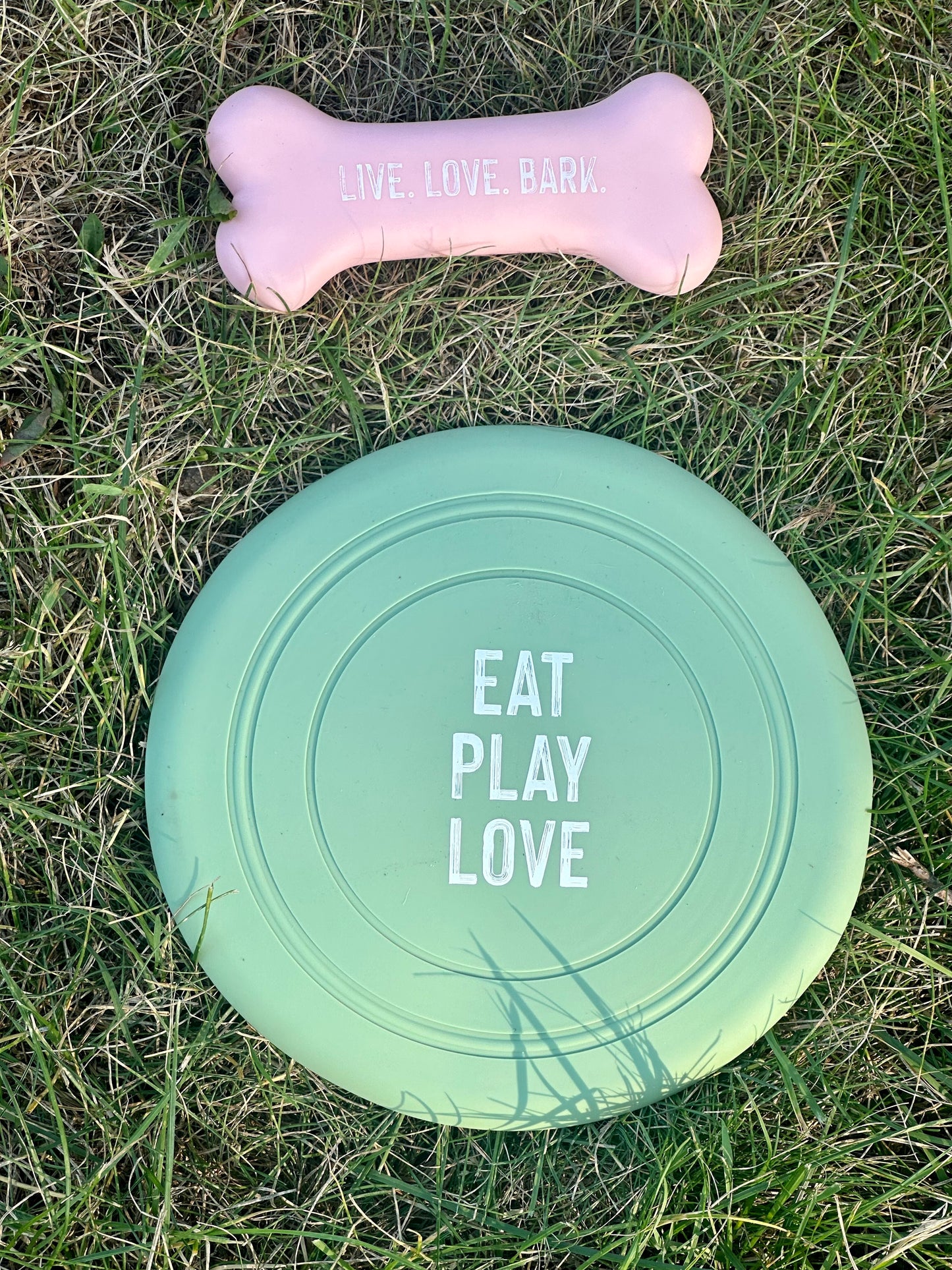 Dog Bone & Frisbee Combo