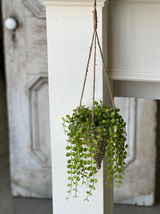 Brentwood Hanging Basket Cone