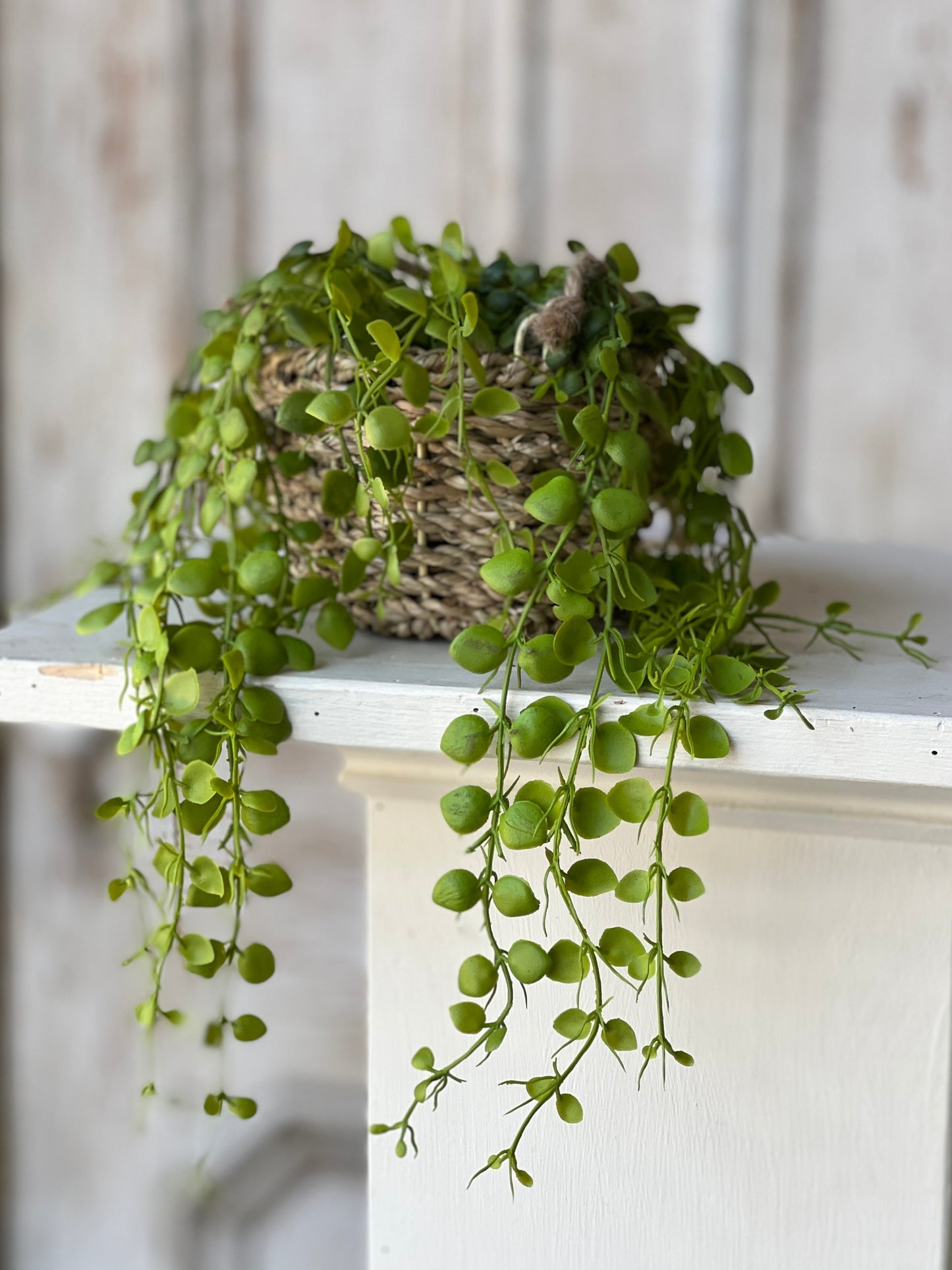 Brentwood Hanging Basket Round