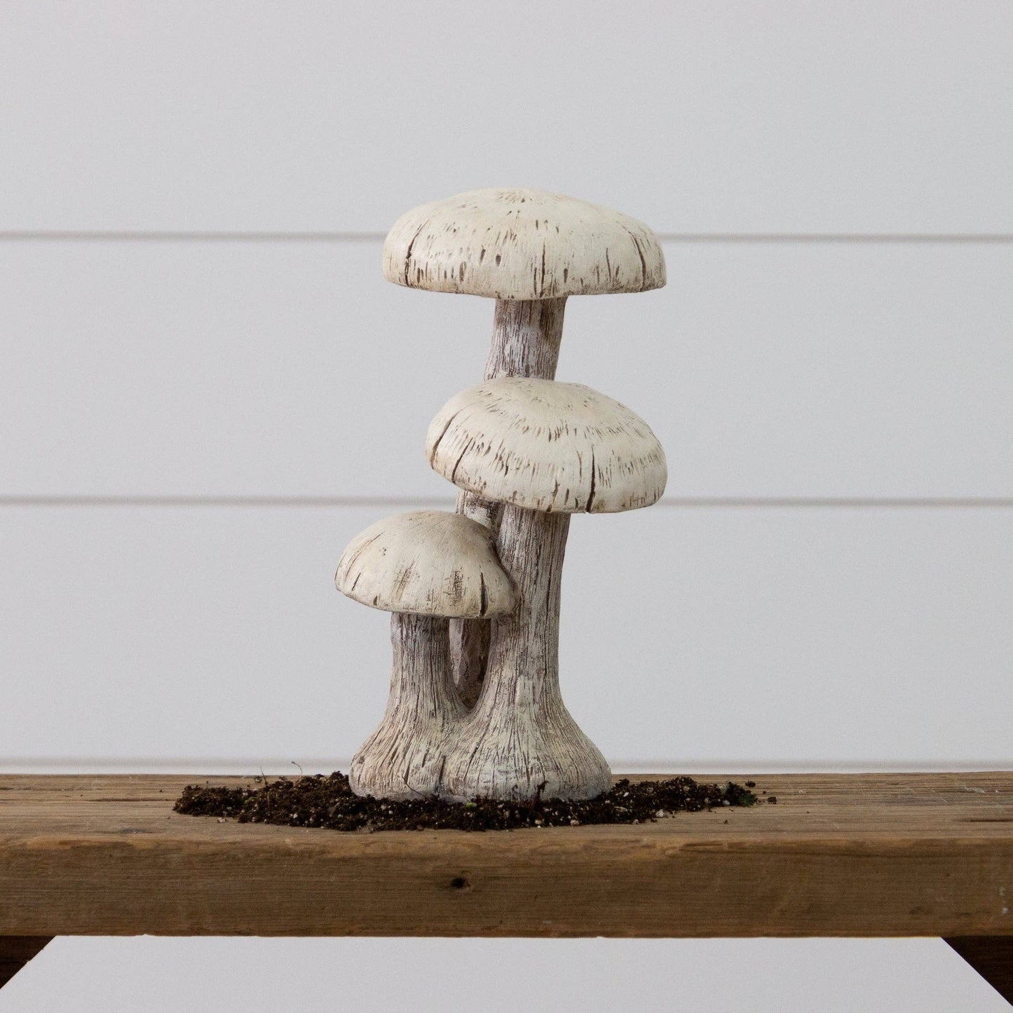 Mushroom Trio