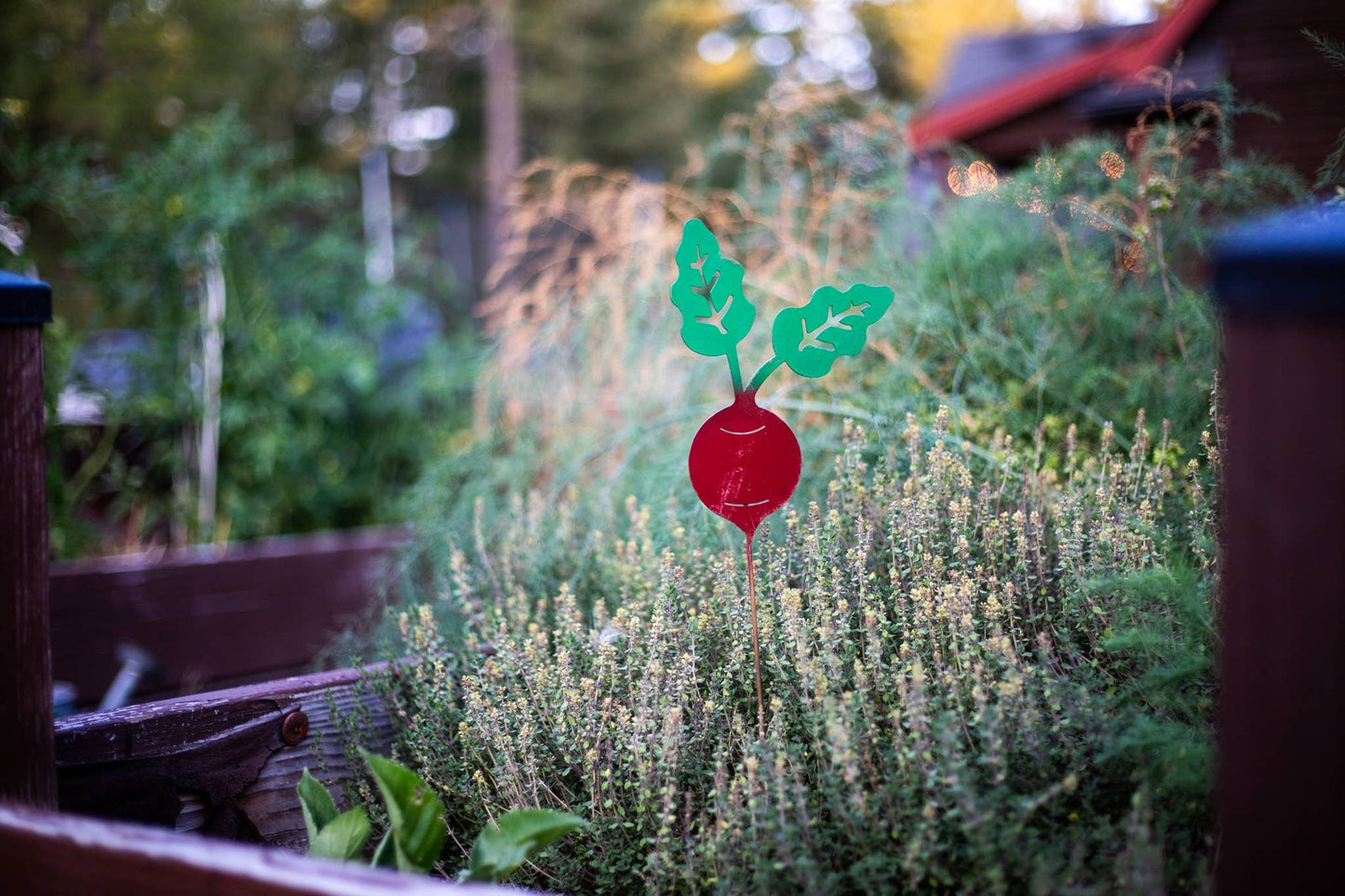 Beet Garden Stick