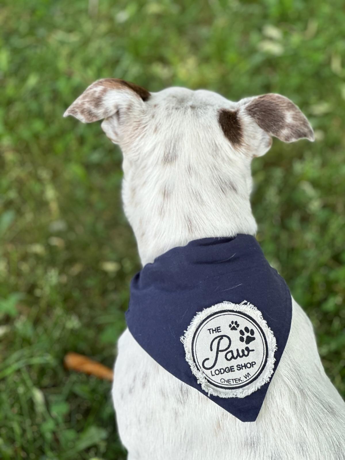 Paw Lodge Dog Bandana