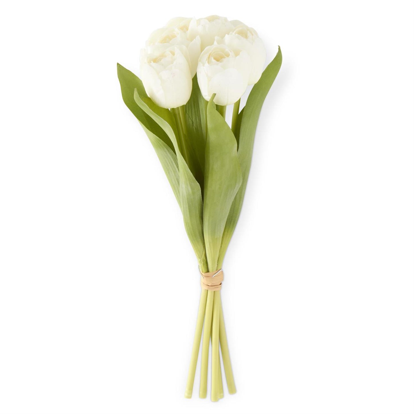 13 Inch White Tulip Bundle
