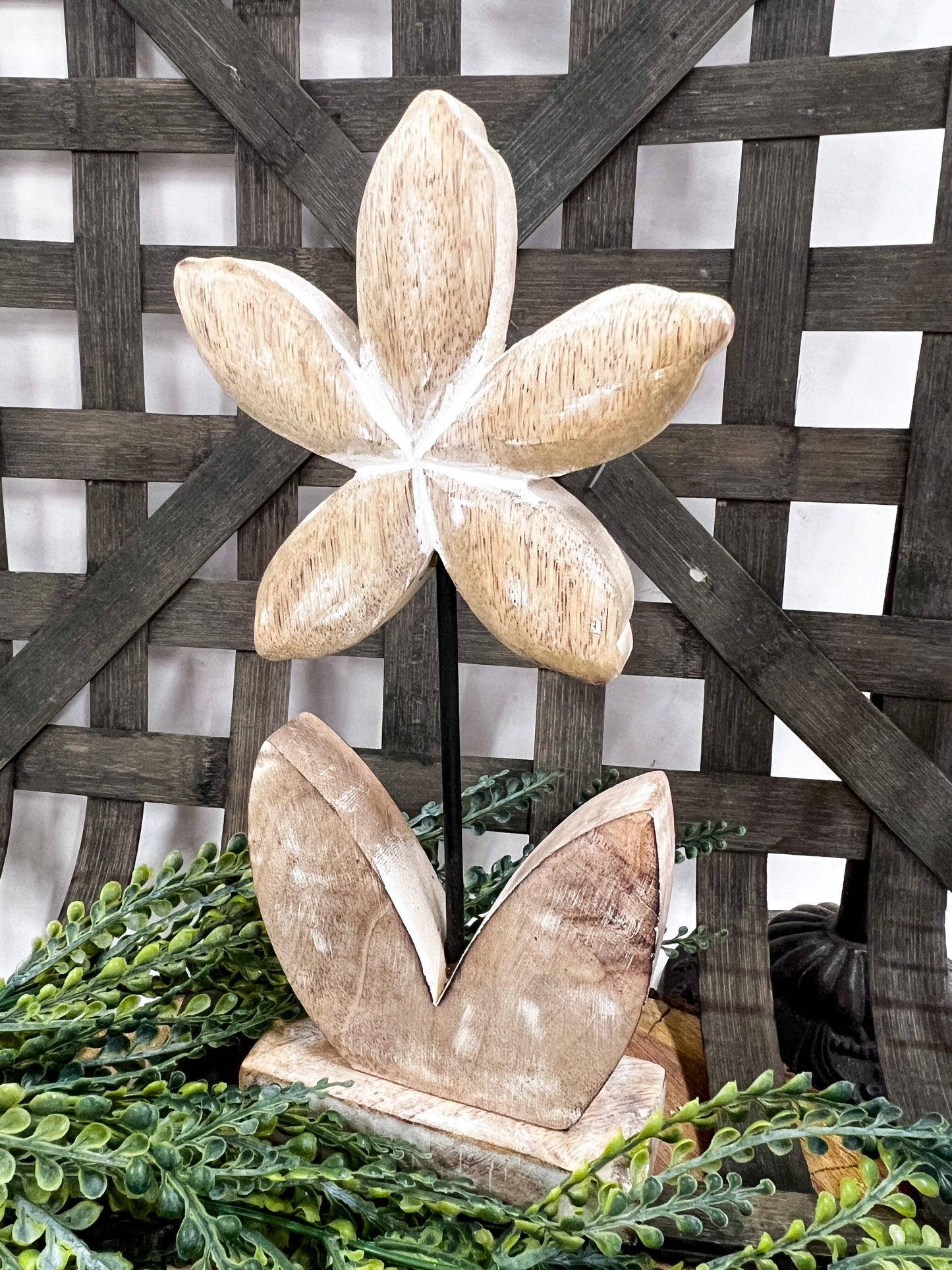 Whitewashed Star Flower