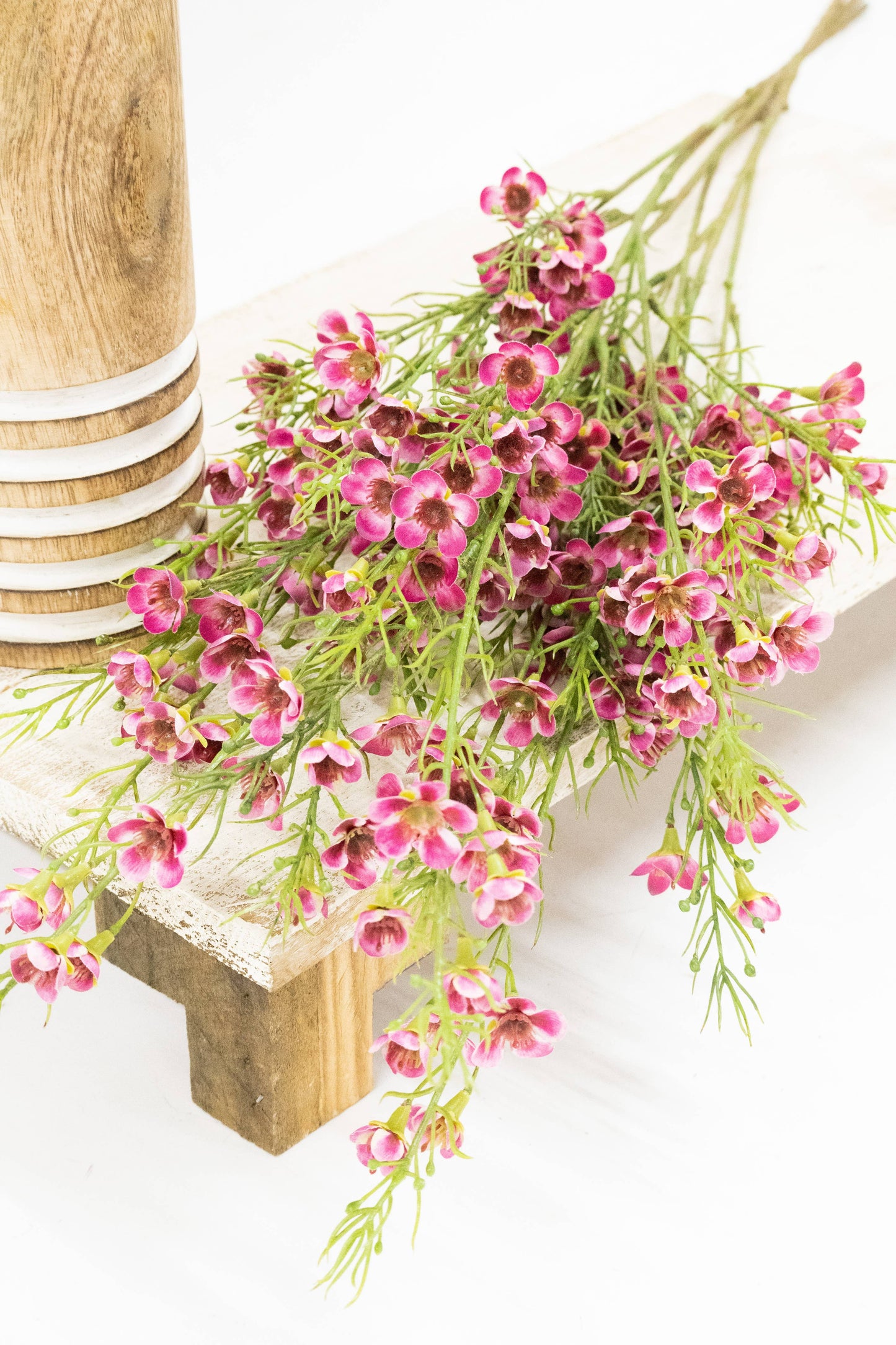 Dark Pink Wax Flower