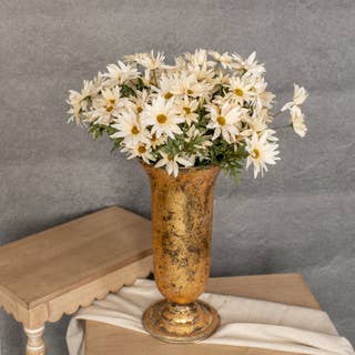 20" CREAM DAISY BUSH