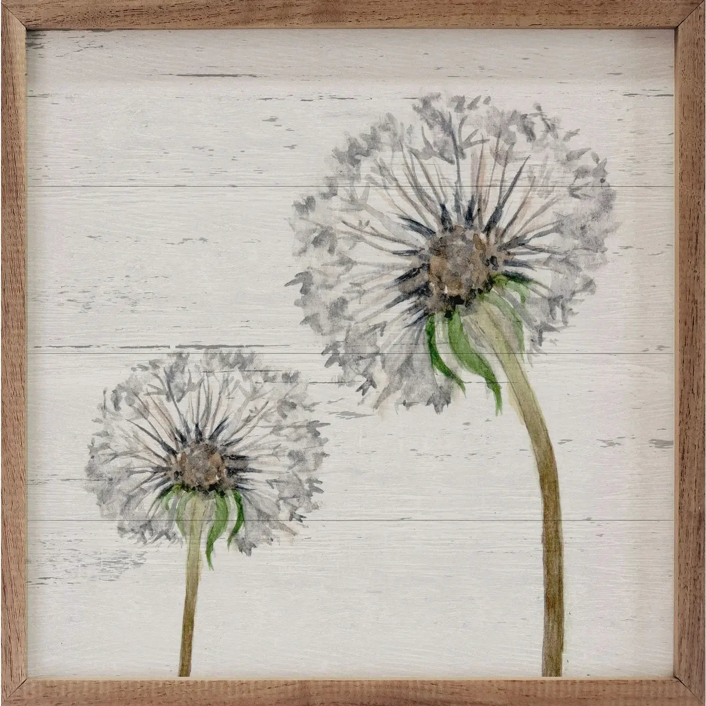 Dandelion Duo Whitewash