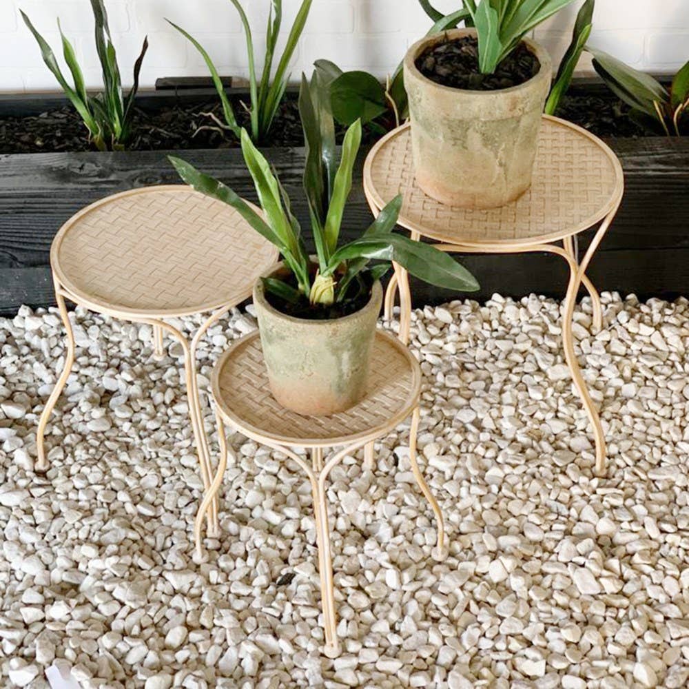 Metal Plant Stands